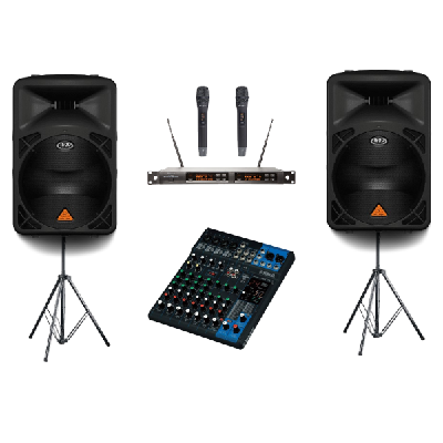 Wireless Dual Microphone And Speaker Bundle