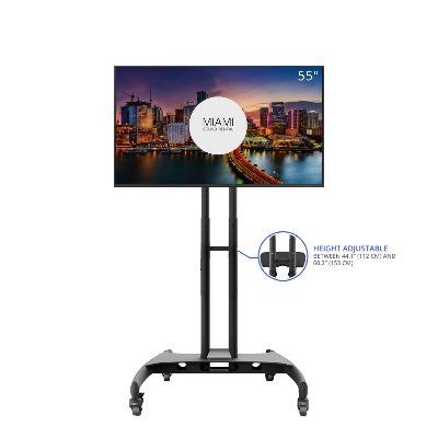 55" HD Smart TV Screen on Mobile Stand